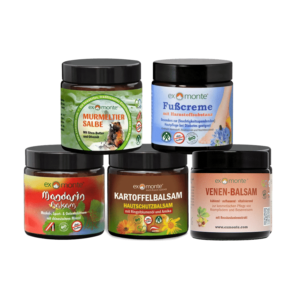 Exmonte Set Produktbild zeigt 5 Tigel